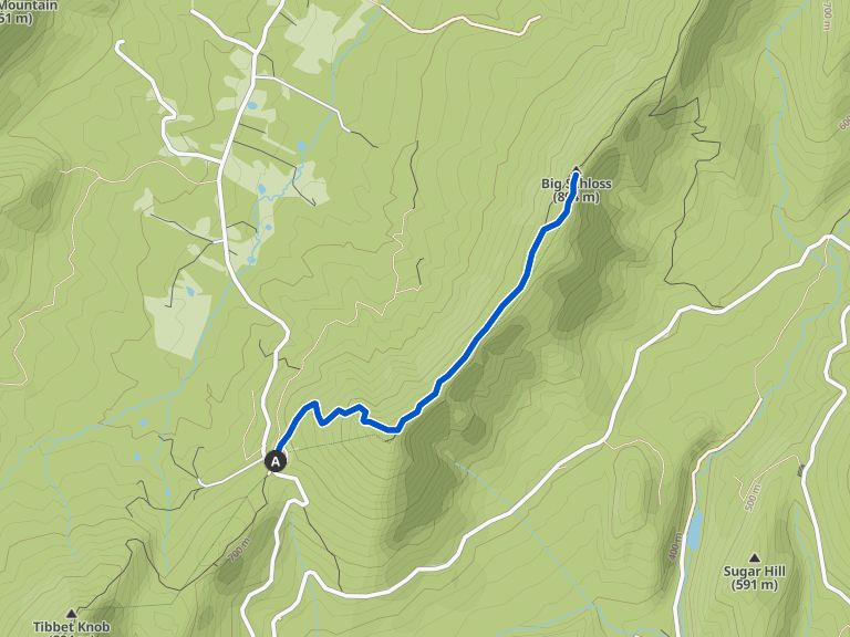 Big Schloss Trail Loop — Wardensville Wildlife Management Area hike Komoot